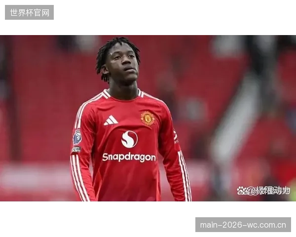梅努凭借赛季末段在曼联的出色表现入选，将为英格兰中场提供活力。